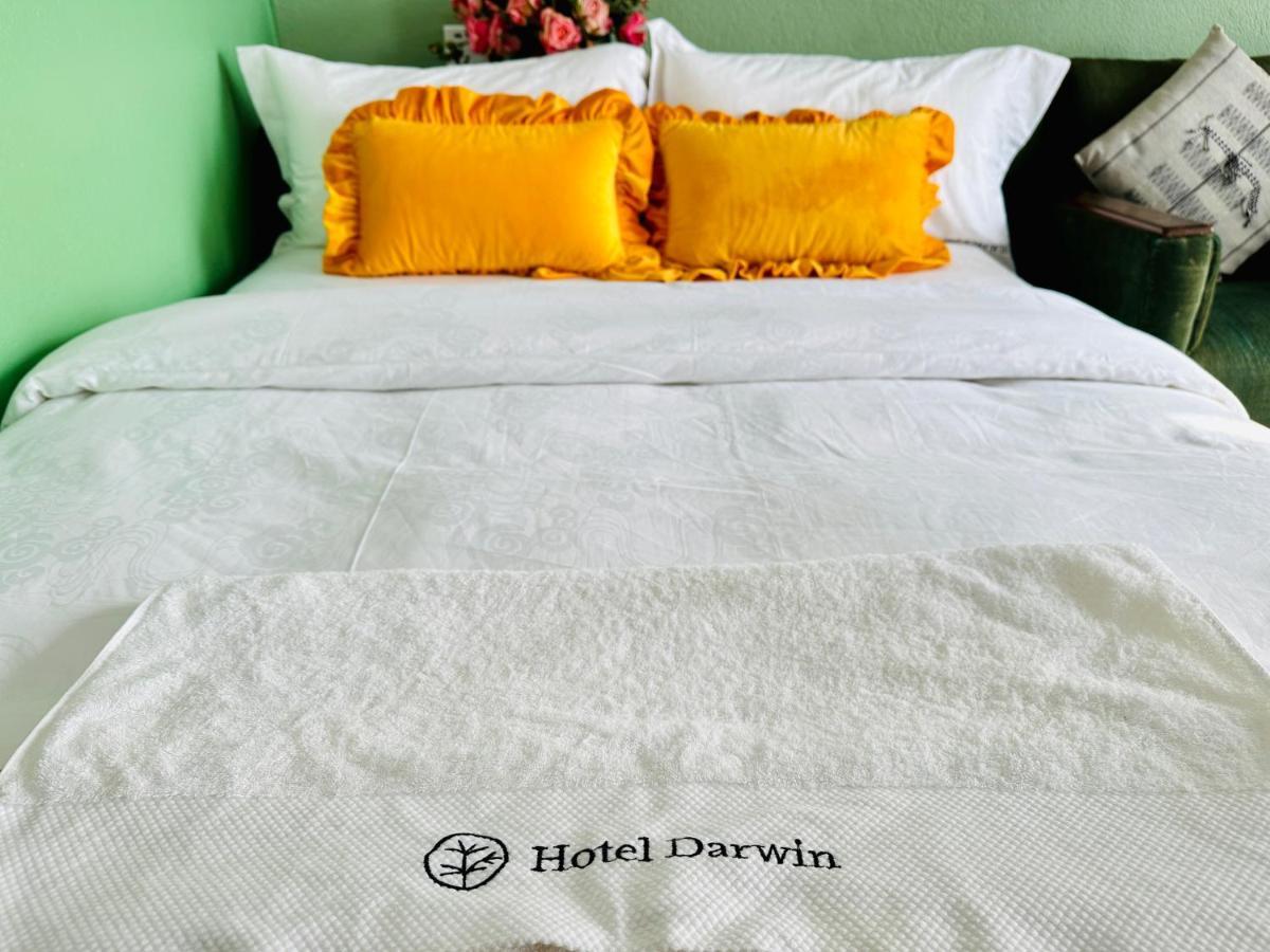Hotel Darwin Catmandu Exterior foto